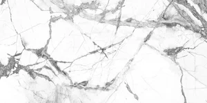 Керамогранит Alfalux Marvilla Pro Cellini Lucido Rett T203058 45x90 полированный