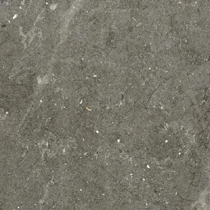 Керамогранит Alfalux Pietre Pure Vicenza Roc 7278601 20x20 противоскользящий