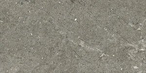 Керамогранит Alfalux Pietre Pure Vicenza Roc 7278641 20x40 противоскользящий