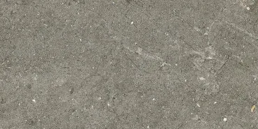 Керамогранит Alfalux Pietre Pure Vicenza Roc Ret 7280096 29,7x59,5 противоскользящий
