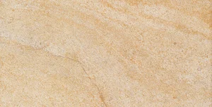 Керамогранит Alfalux Stone Prints Gold Lap. Ret. 7263991 29,7x59,5 лаппатированный