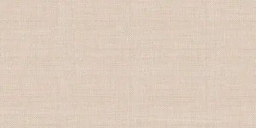 Alma Ceramica Asteria Плитка настенная TWU09ATR044 24,9x50 матовая