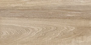 Плитка Alma Ceramica TWU2550EPH40 Эйфория / Euphoria 24,9x50 матовая