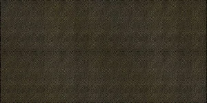 Alma Ceramica Golden Плитка настенная TWU09GLD200 24,9x50 глянцевая
