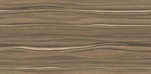 Плитка Alma Ceramica Plesso TWU09PLS424 24,9x50 глянцевая
