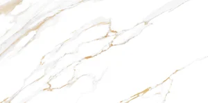 Плитка Alma Ceramica Dublin TWU09DBL004 24,9x50 глянцевая