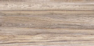 Плитка Alma Ceramica Dublin TWU09DBL404 24,9x50 глянцевая