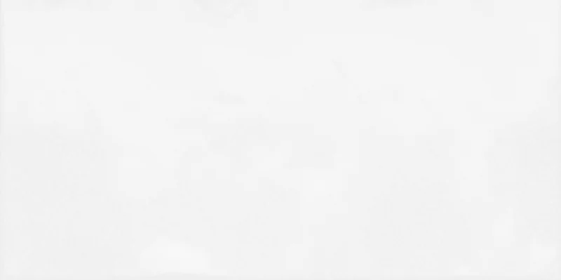 Плитка Alma Ceramica TWU09MNR030 Mirt Моноколор / Monocolor 24,9x50 глянцевая