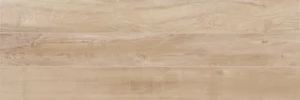 Плитка Altacera Felicity Groundy Glossy WT11GLS11 20x60 глянцевая