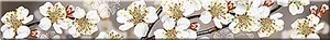 Бордюр Azori Amati Border Sakura 6,2x50,5 матовый