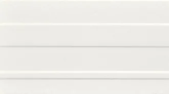 And White 4829