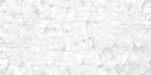 Керамогранит Aparici Ferrum Nacar Natural 50x100 матовый