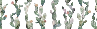 Glimpse Cactus Ornato