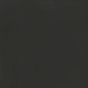 Керамогранит Aparici Studio Anthracite Natural 59,6x59,6 матовый