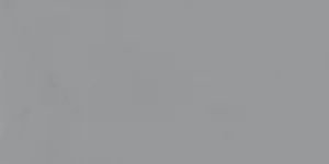 Керамогранит Aparici Studio Grey 20mm 49,8x99,6 матовый