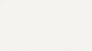 Керамогранит Aparici Tex Ivory 20mm 49,8x99,6 матовый