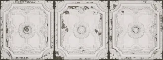 Victorian White Nova