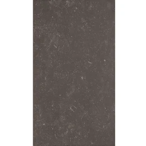 Керамогранит Apavisa Slabs ST.Vincent Anthracite Natural 119,3x260 матовый