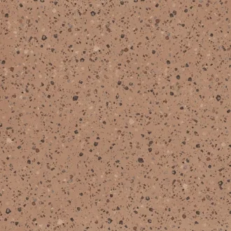 Argillae Coccio Gobi Rect A037806