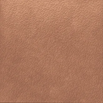 Argillae Nisus Coral Rect A037709