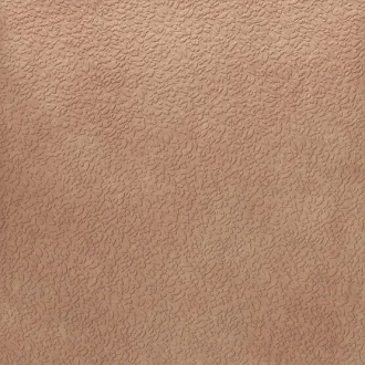 Argillae Nisus Gobi Rect A037711