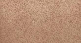 Argillae Nisus Gobi Rect A037705