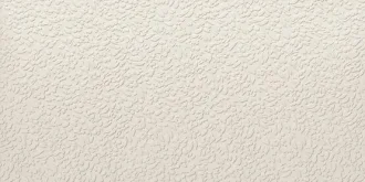 Argillae Nisus Neve Rect A037707