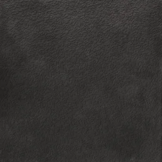 Argillae Nisus Nocta Rect A037712