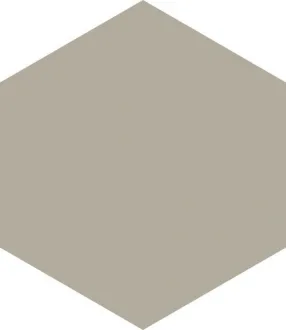 Home Hexagon Grey