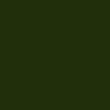 Плитка APE Lord Verde Botella Brillo 20x20 глянцевая