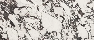 Керамогранит APE A040176 Medicea Marble Honed Rect 120x278 матовый