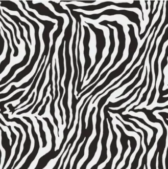 Moonlight Polished Rec Zebra