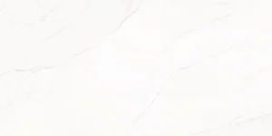 Керамогранит Colorker Aqualuna Sattin 60,5x120,5 матовый