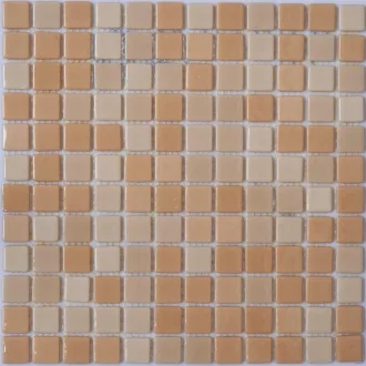 MX 2541718