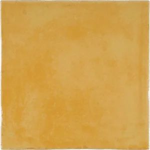 Плитка Vives Aranjuez Ocre 20x20 глянцевая
