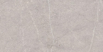 Equistone Gris RG6001-A