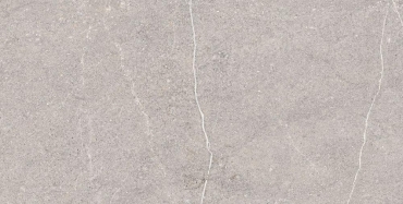 Керамогранит Arcadia Ceramica Equistone Gris RG6001-A 60x120 глянцевый