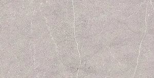 Керамогранит Arcadia Ceramica Equistone Gris RG6001-A 60x120 глянцевый