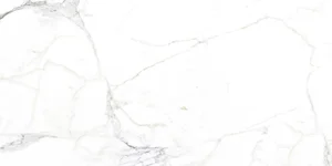Керамогранит Arcadia Ceramica Luce Statuario FP1002-A 60x120 полированный