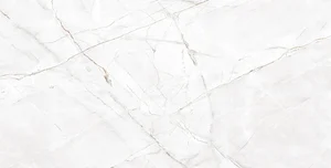Керамогранит Arcadia Ceramica Valencia Silver Grey CR4007-A 60x120 полированный