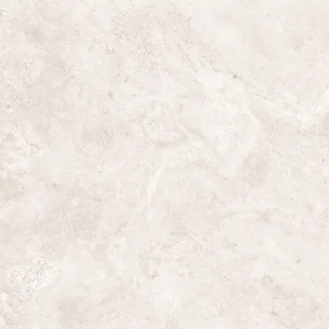 Керамогранит Arcadia Ceramica Arawak RT6009-B White Matt Rustic Punch 60x60 матовый