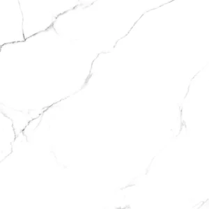 Керамогранит Arcadia Ceramica Statuario Fine RT6015-A Matt Rustic 60x60 матовый