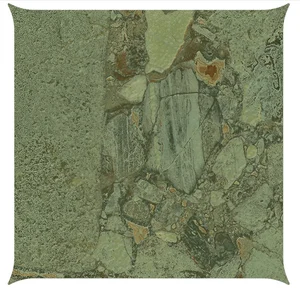 Керамогранит Arcana Black&Cream ARC_8223 Checkers Starry Green Giada 24,3x24,3 матовый