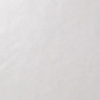 Architecture White Gloss