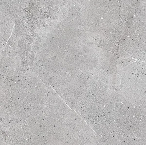 Керамогранит Colli Area Grey 4470 60x60 матовый
