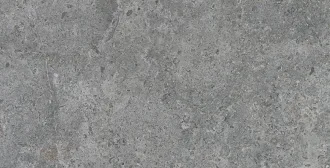Etienne Grey RC