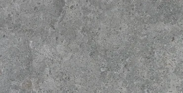 Керамогранит Argenta Etienne Grey RC 30x60 матовый