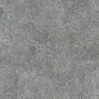 Etienne Grey RC
