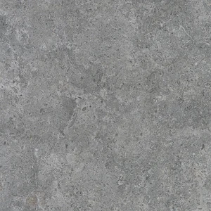 Керамогранит Argenta Etienne Grey RC 60x60 матовый