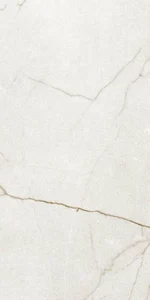Керамогранит Argenta 8435592066462 Raffaello Ivory матовый Artech 60x120